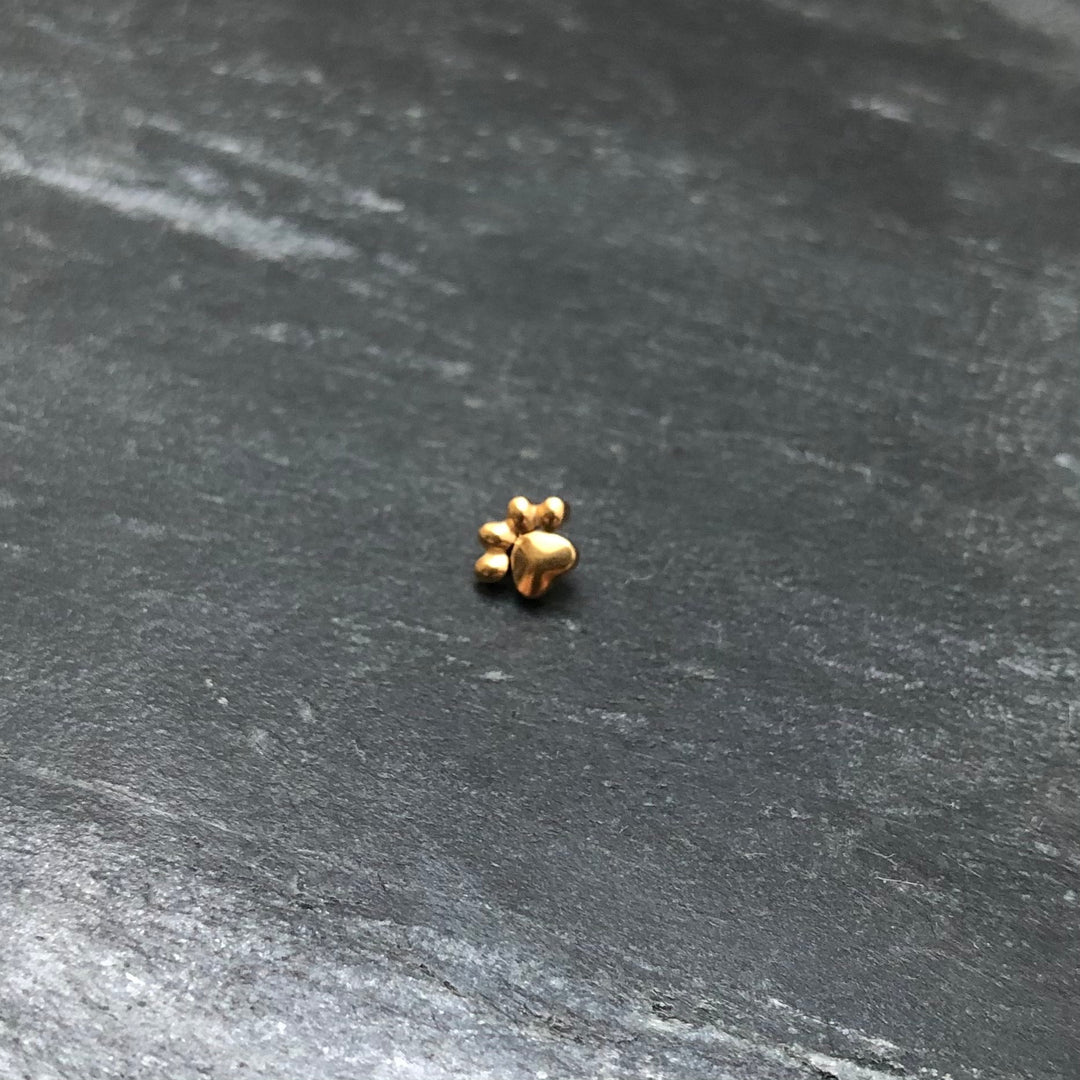 Dermal Anchor Aufsatz "Paw"